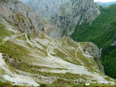 Picos de Europa-Naranjo Bulnes(Urriellu);Puente San Isidro; eresmas cercedilla trekking